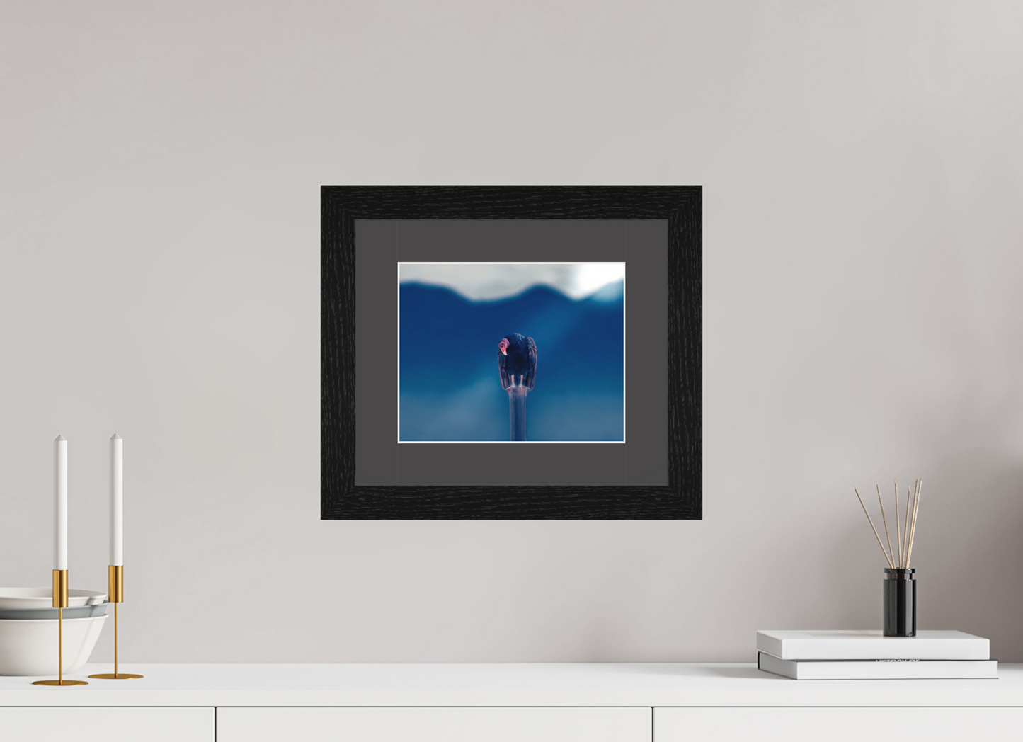 Mr. Lonely | Fine Art Turkey Vulture Photography Print