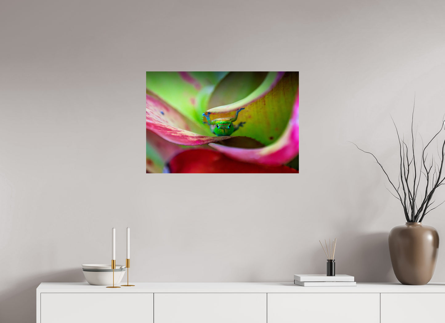 Gecko on Bromeliad Plant | Kona, Hawaii | Fine Art Wildlife Photography Print
