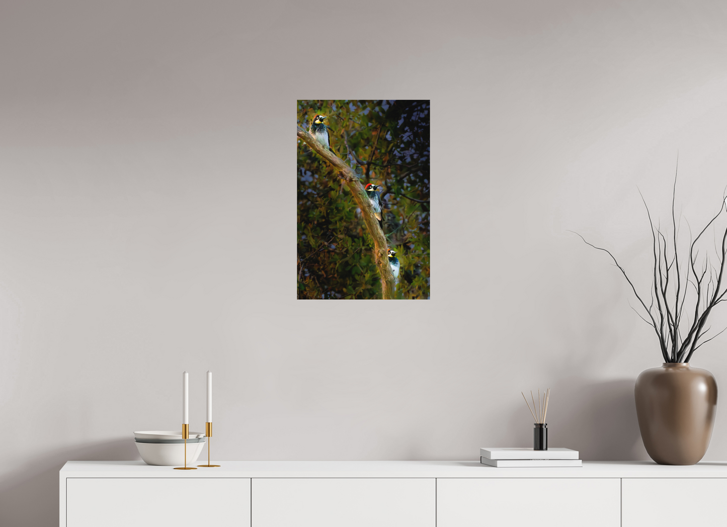 Three Acorn Woodpeckers | Fine Art Wildlife Photography Print